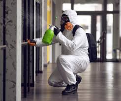 University Place, WA Mold Removal Company